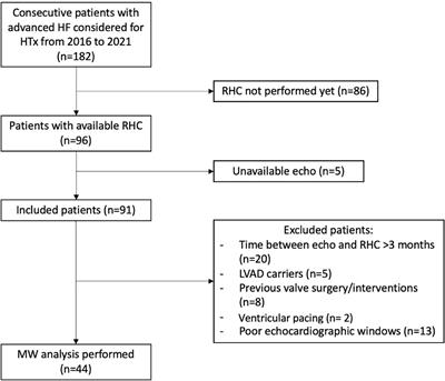 Correlation of left ventricular myocardial work indices with invasive measurement of stroke work in patients with advanced heart failure